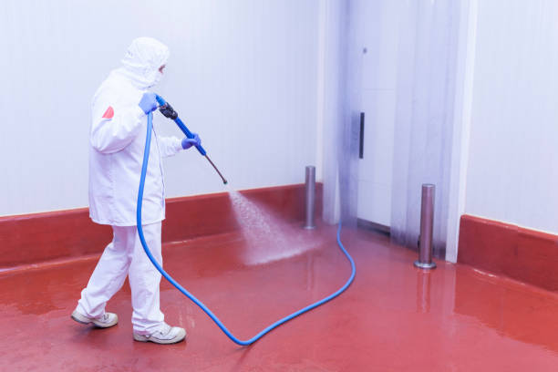 Pre-Holiday Cleaning in Park Hill, OK